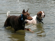 Jake and EIlidh wading in the Lake of Bays Muskoka