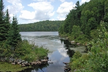 Costello Lake Algonquin Park