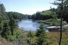 Jake Lake Algonquin Park