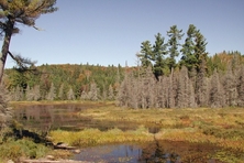 Little Madawaska River Algonquin Park