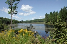 Opeongo Lake Algonquin Park