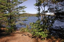 Source Lake Algonquin Park