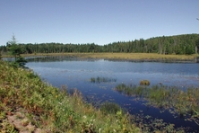 West Rose Lake Algonquin Park