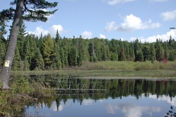 Little Madawaska River Algonquin Park